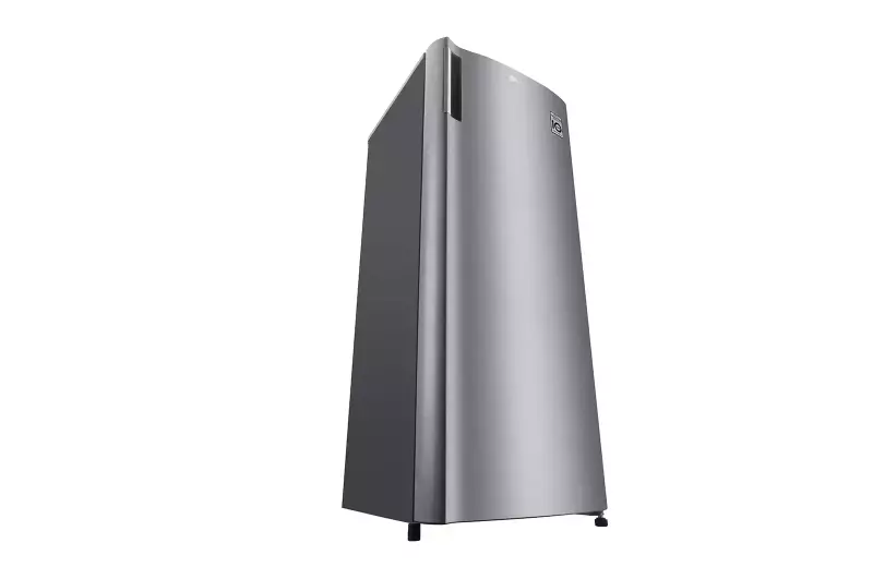 LG Standing Freezer 168L Silver (GN-304SL)