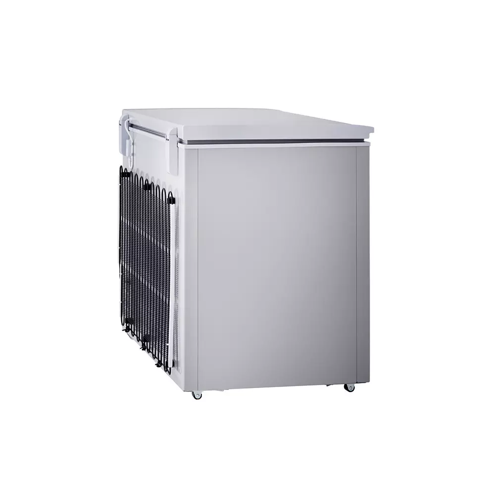 LG Chest Freezer 280L (GCS315SQFG)