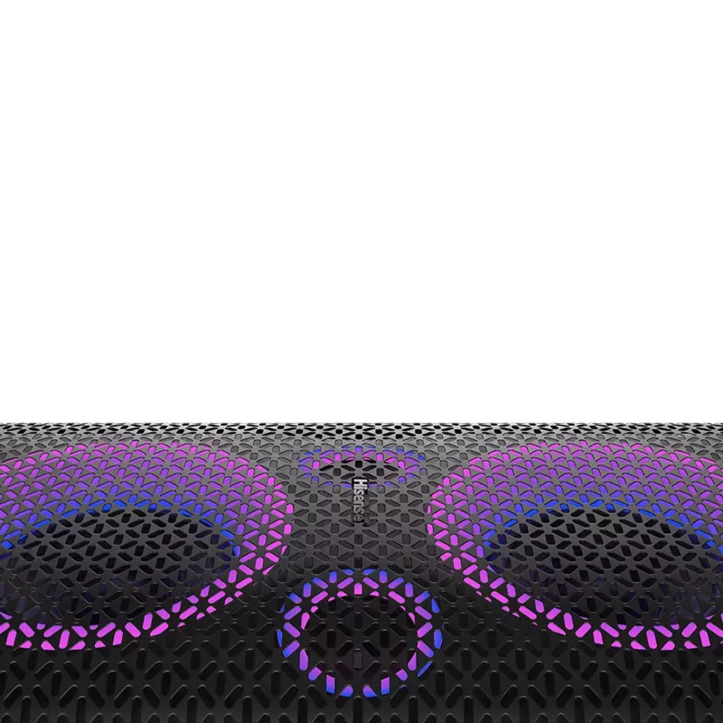 Hisense Party Rocker Speaker 300W (HP110)