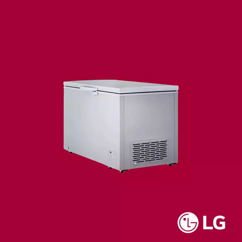 LG Chest Freezer 345L (GCS415GQFG)