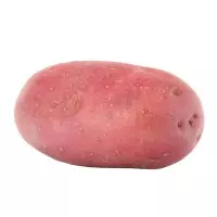 73
