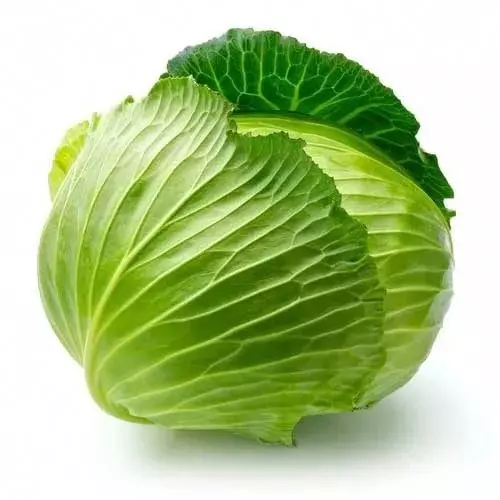 Green Cabbage - 1 PC