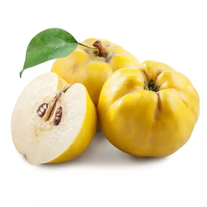 Quince - 1 PC