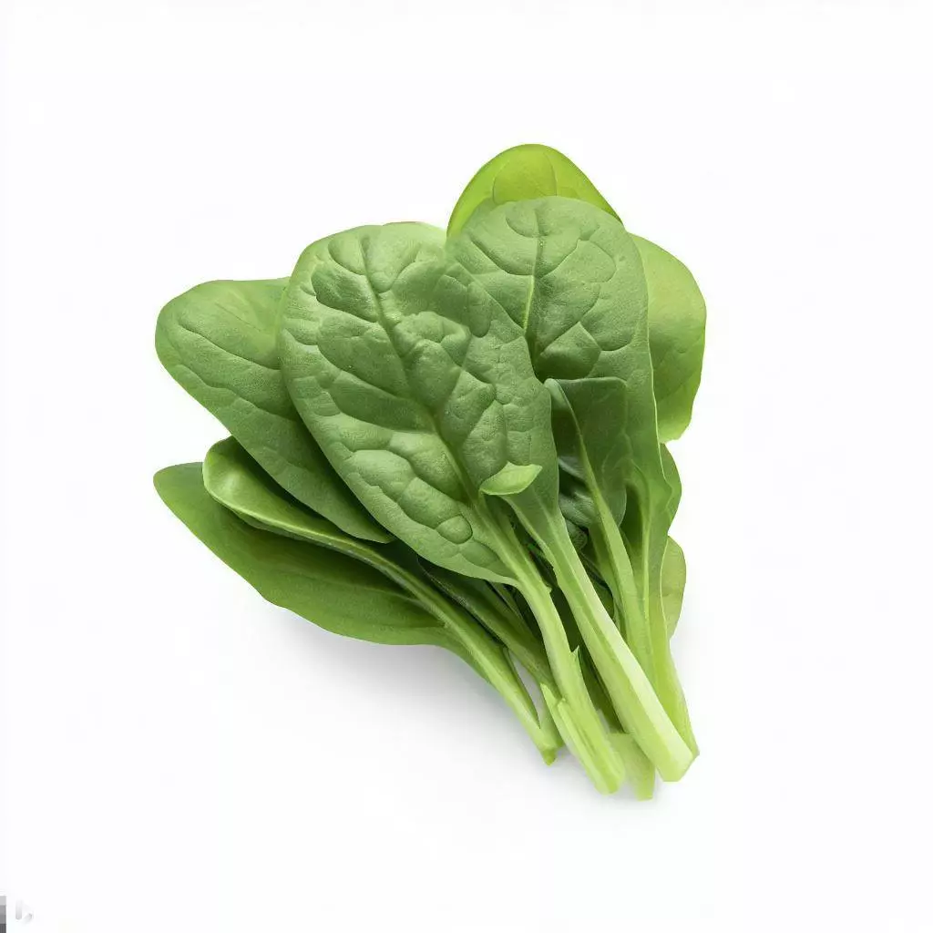 Spinach - 1 Bunch