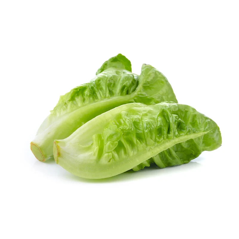 Romaine lettuce - 1 PC