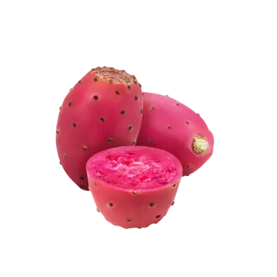 Cactus Tuna Red - 1 PC