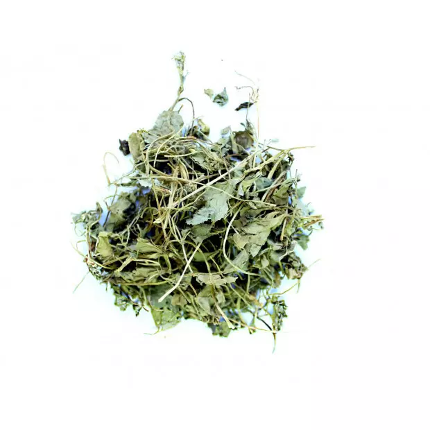 Shambhala - 1 Bunch