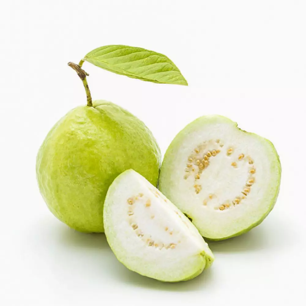 Guava - 1 PC
