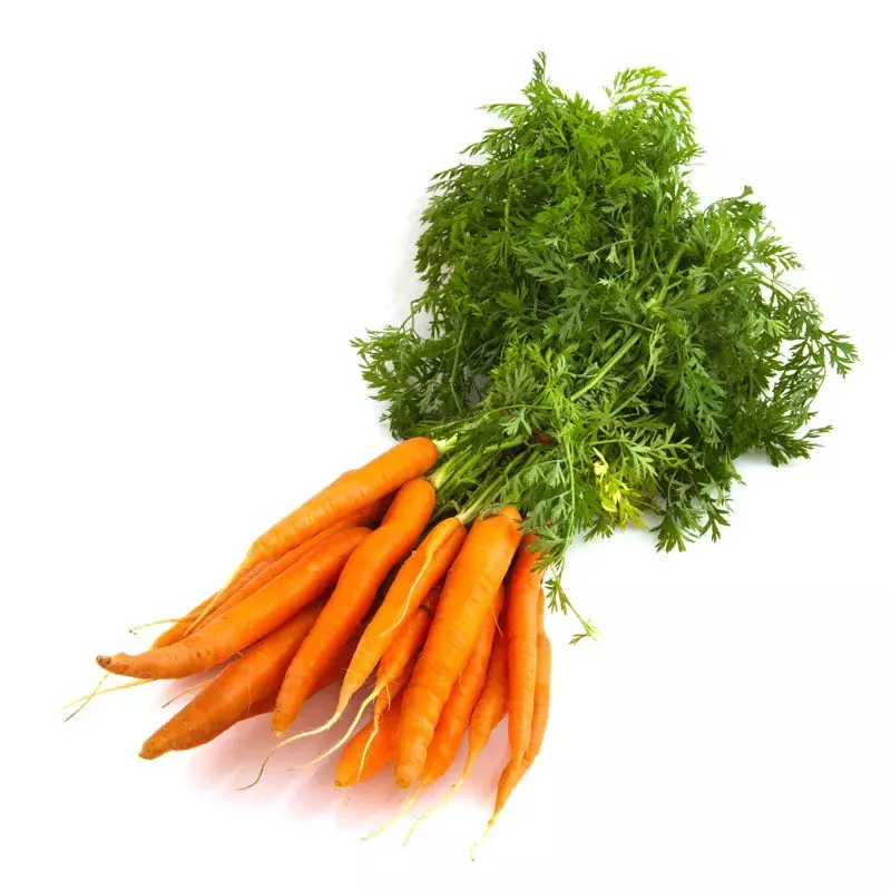 Jumbo Carrots - 1 PC