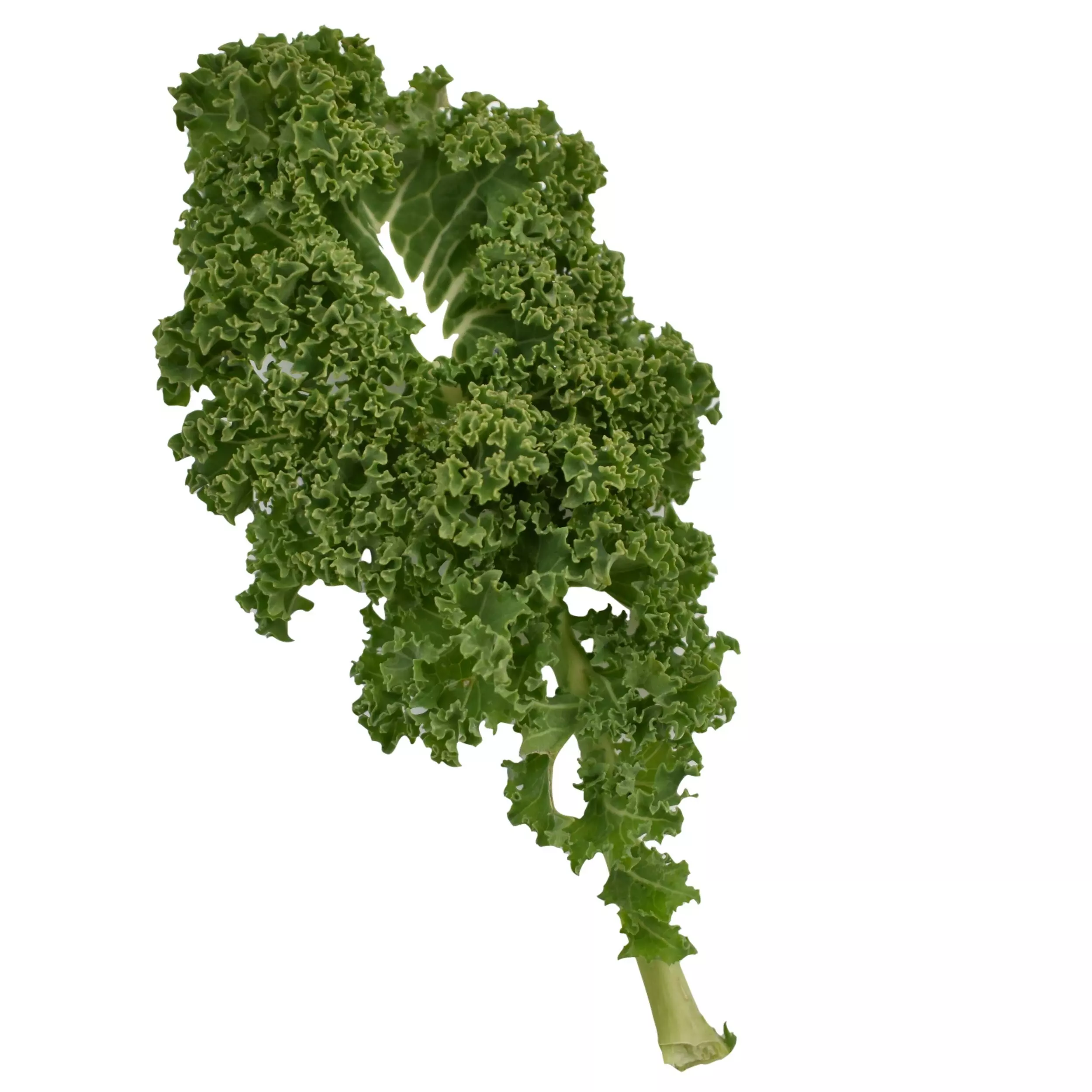Green kale - 1 Bunch