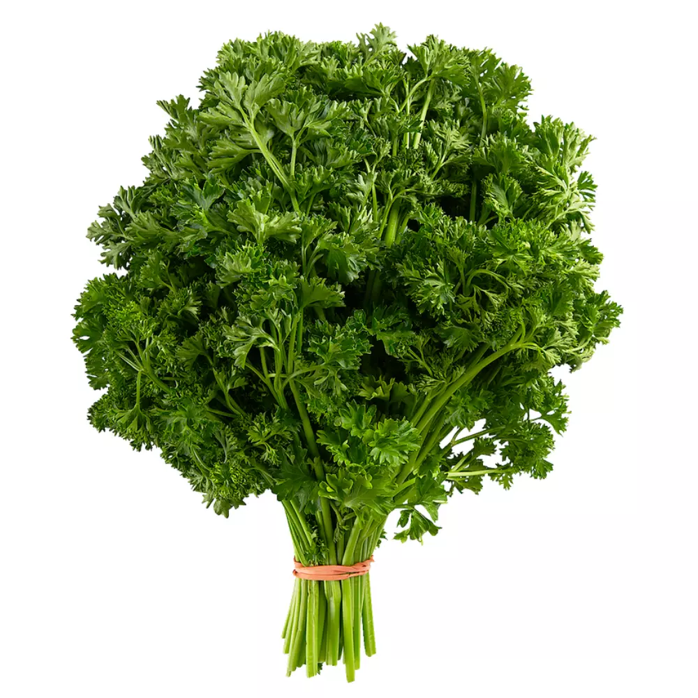 Curly parsley - 1 Bunch