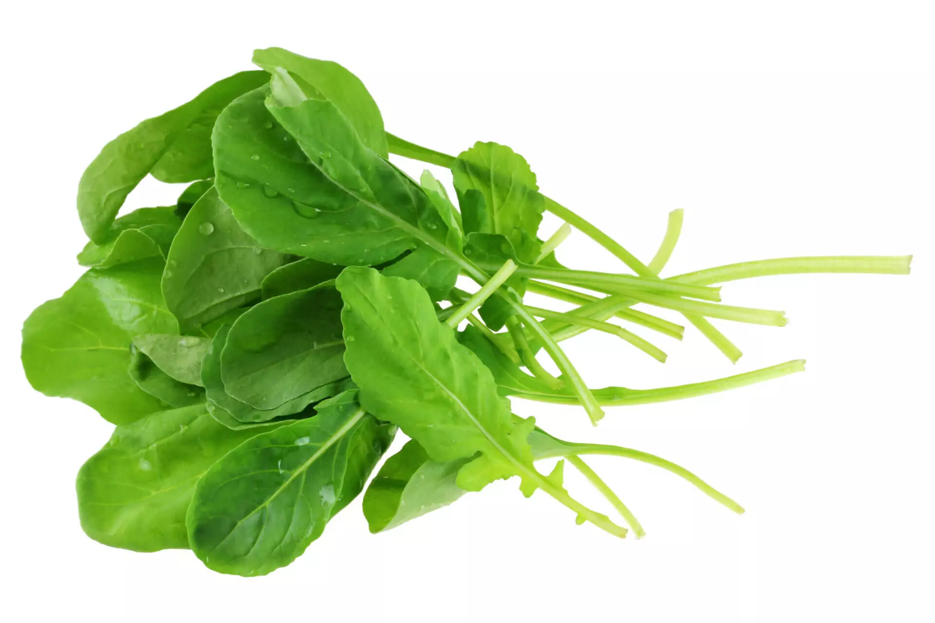 Arugula - 1 Bunch