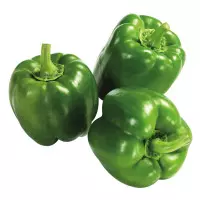 61