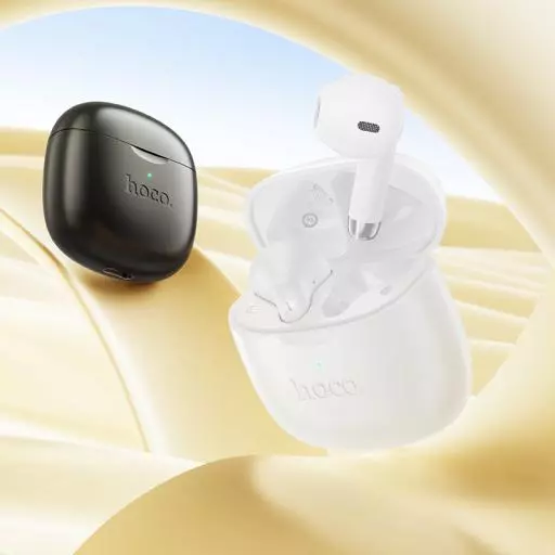 EW201 Graceful true wireless BT headset