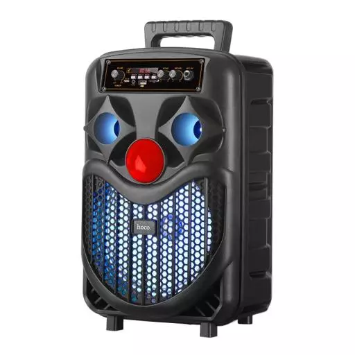 DS39 8-Inches Portable BT Speaker