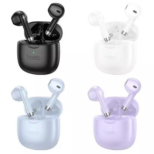 EW201 Graceful true wireless BT headset