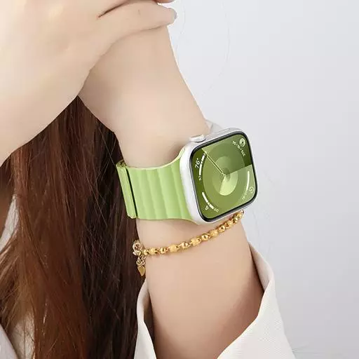 WA29 Flexible Series Buckle-free Magnetic Silicone Strap (38/40/41/42Mm)