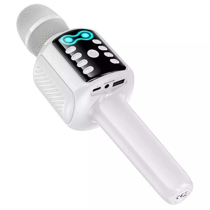 L24 Shine Karaoke Microphone