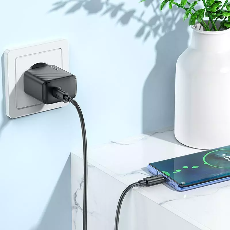 CS22A Value Single Port PD30W Charger Set(Type-C To Type-C)(EU)