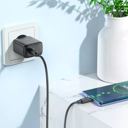 CS22A Value Single Port PD30W Charger Set(Type-C To Type-C)(EU)