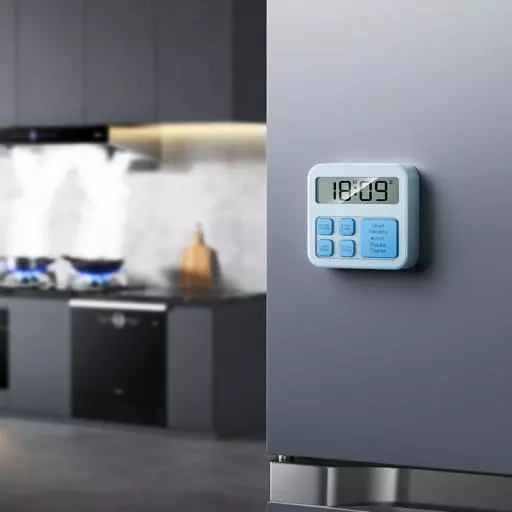 HX43 Electronic Timer