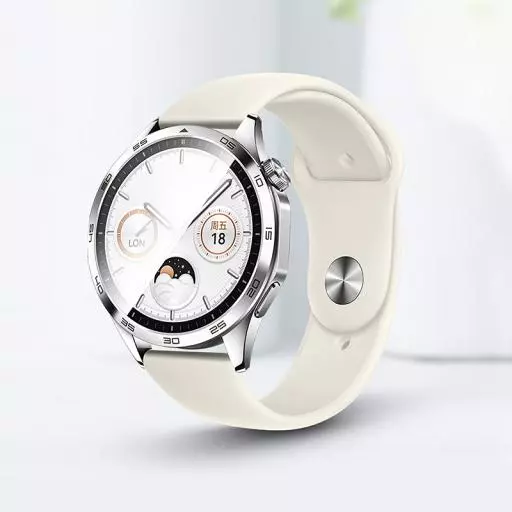 WH11 Flexible Series Classic Silicone Strap(20mm)