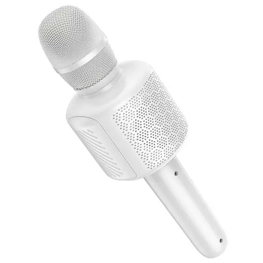 L24 Shine Karaoke Microphone