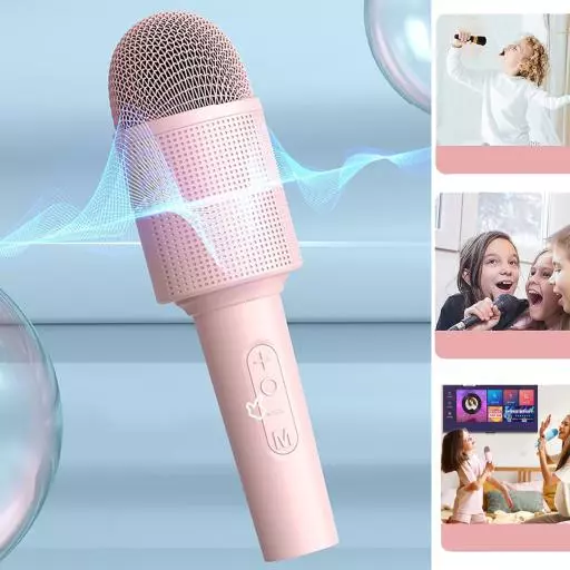 DBK1 Singing Karaoke Microphone