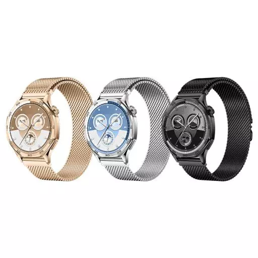 WH16 Precioso Series Magnetic Milanese Steel Strap(22mm)