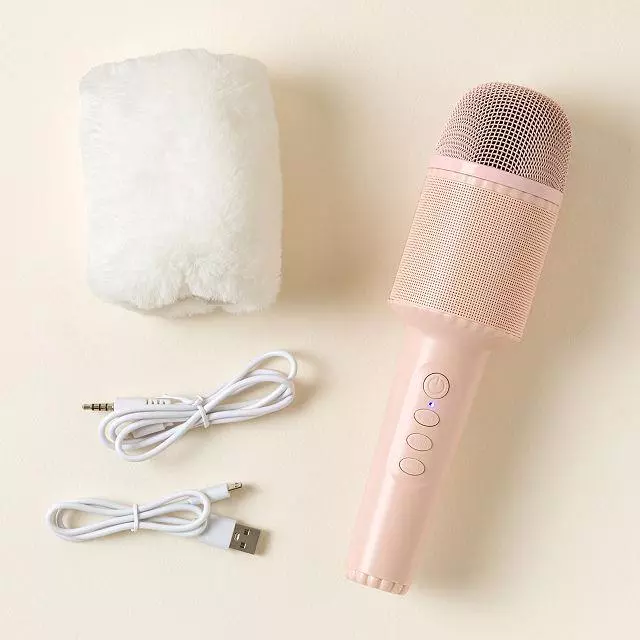 DBK1 Singing Karaoke Microphone