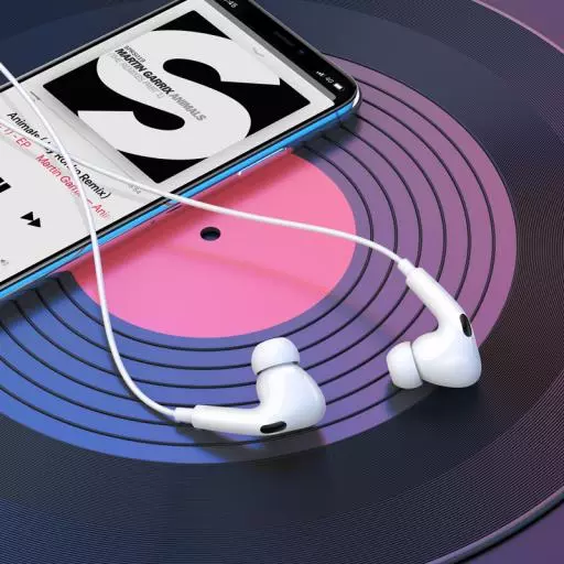 M101 Crystal Joy Wire-controlled Earphones With Microphone