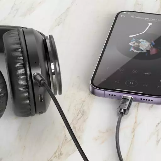 UPA30 Friend Digital Audio Conversion Cable IP