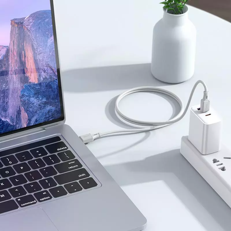X101 Assistant 60W silicone charging data cable Type-C to Type-C (1M)