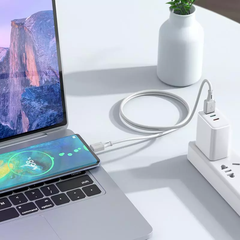 X101 Assistant Silicone Charging Data Cable Type-c
