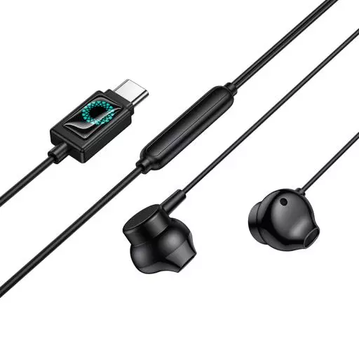 M118 Type-C Column Universal Digital Earphones With Microphone