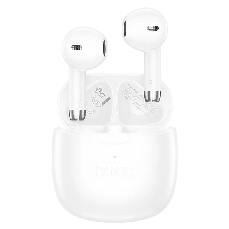 EW201 Graceful true wireless BT headset