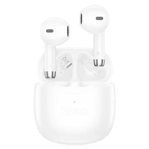 EW201 Graceful true wireless BT headset