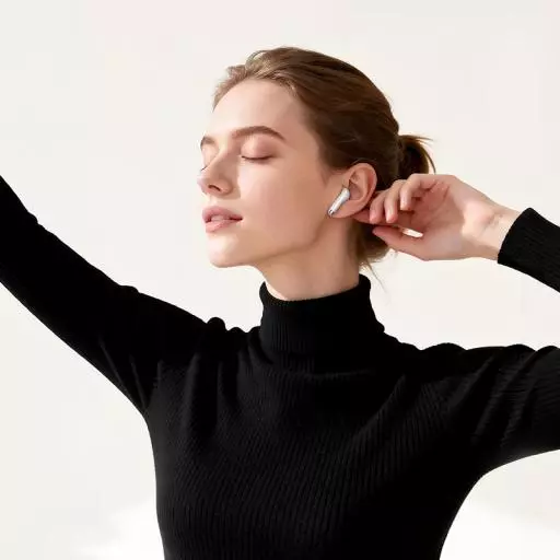 EW205 Peaceful True Wireless BT Headset