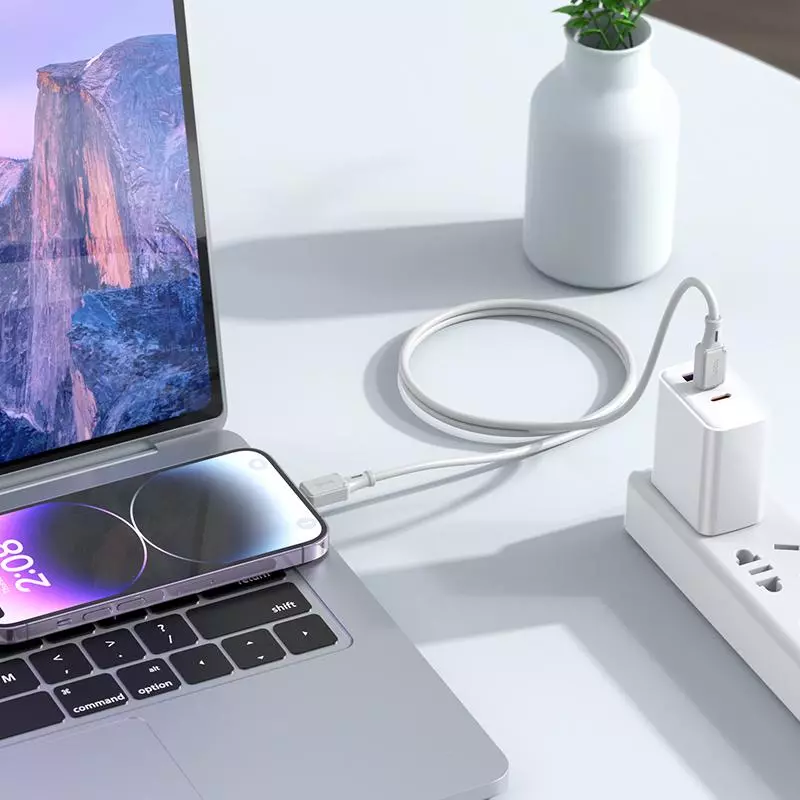 X101 Assistant PD Silicone Charging Data Cable IP