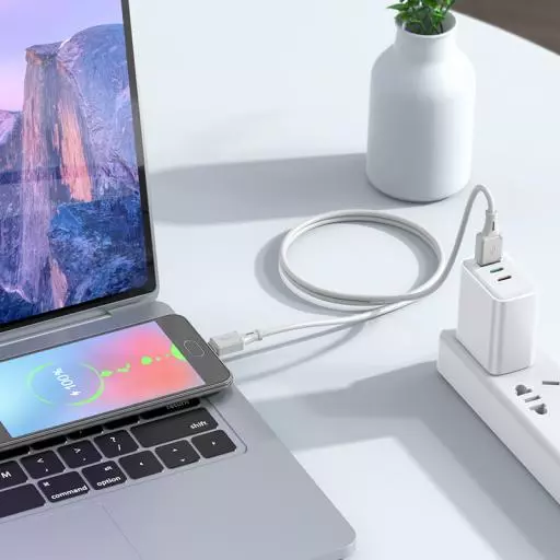 X101 Assistant Silicone Charging Data Cable  Micro
