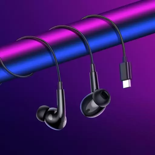 M101 Max Crystal Grace Type-C Wire-controled Digital Earphones With Microphone