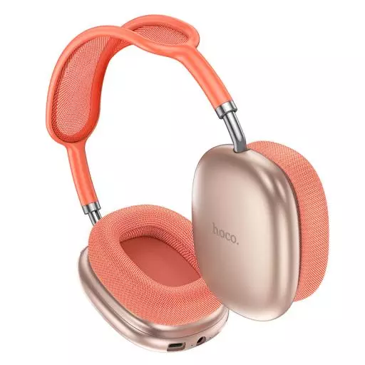 W55 Pleasing BT Headphones