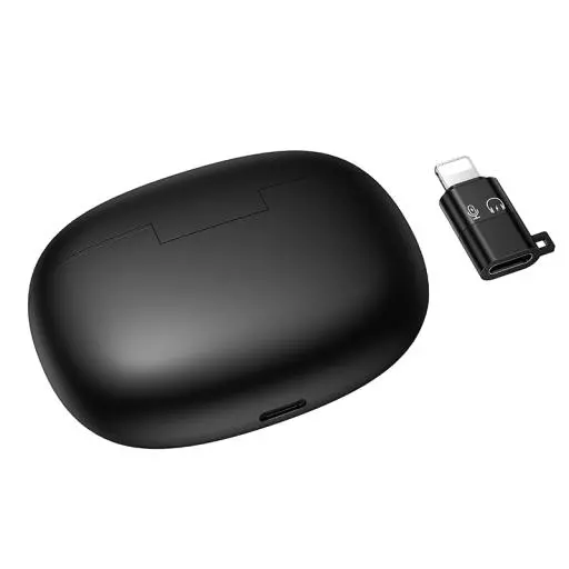 L19 Graceful Wireless Microphone(iP/Type-C)