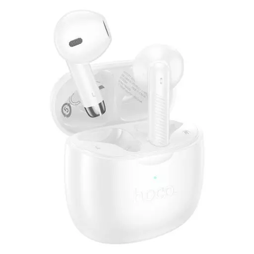 EW201 Graceful true wireless BT headset
