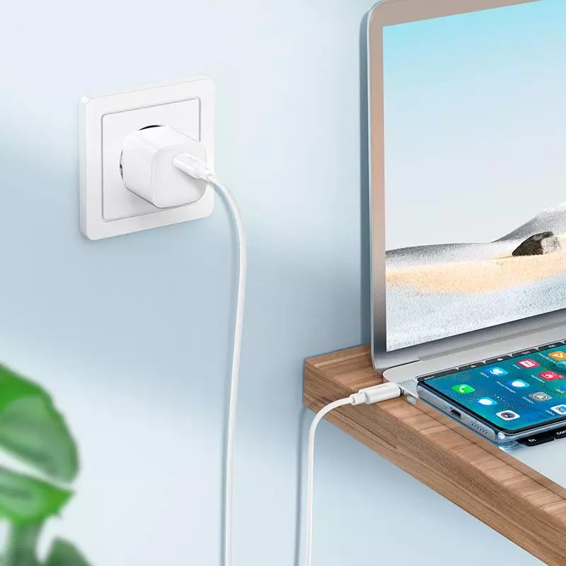 X88 Gratified (Type-C To Type-C) 60W fast charge (Unpackaged)