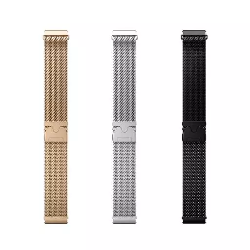 WH16 Precioso Series Magnetic Milanese Steel Strap(22mm)
