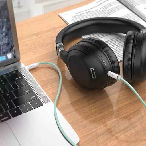 UPA19 AUX Audio Cable(L=1M)