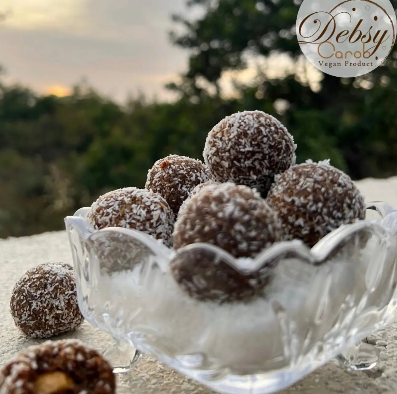DEBSY CAROB COCONUT CAROB BALLS 270G