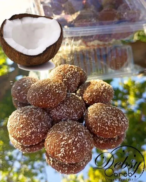 DEBSY CAROB COCONUT COOKIES 260G