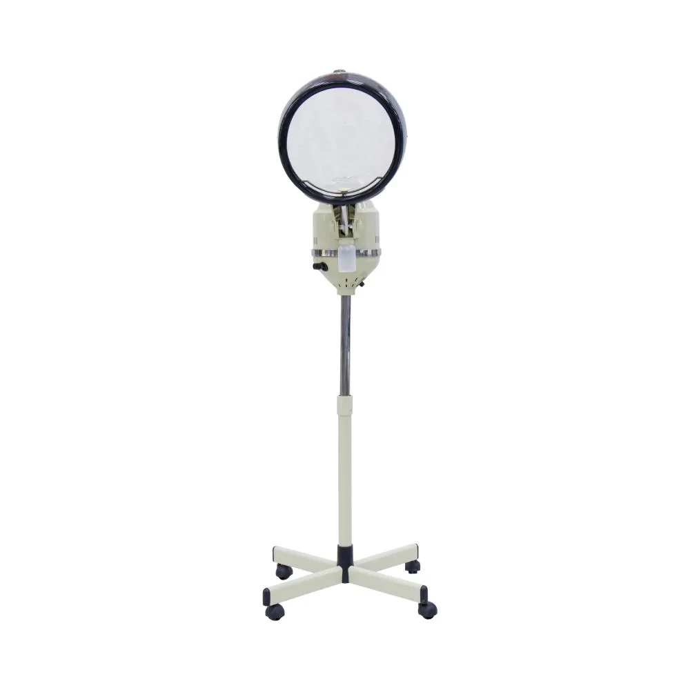 Steamer Head & Facial 2 In 1